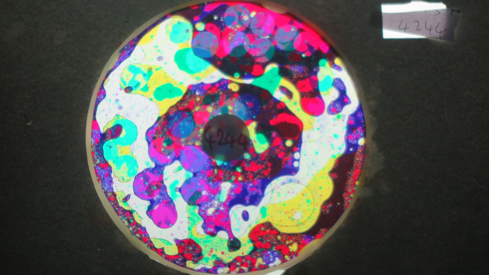 BV4244 bubble vision oil wheel